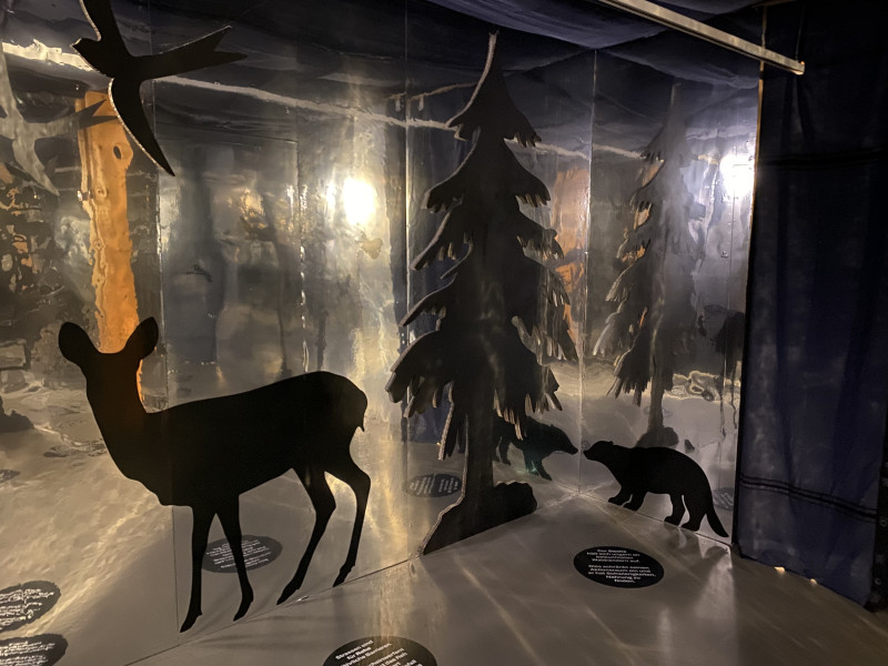 Ausstellungsansicht