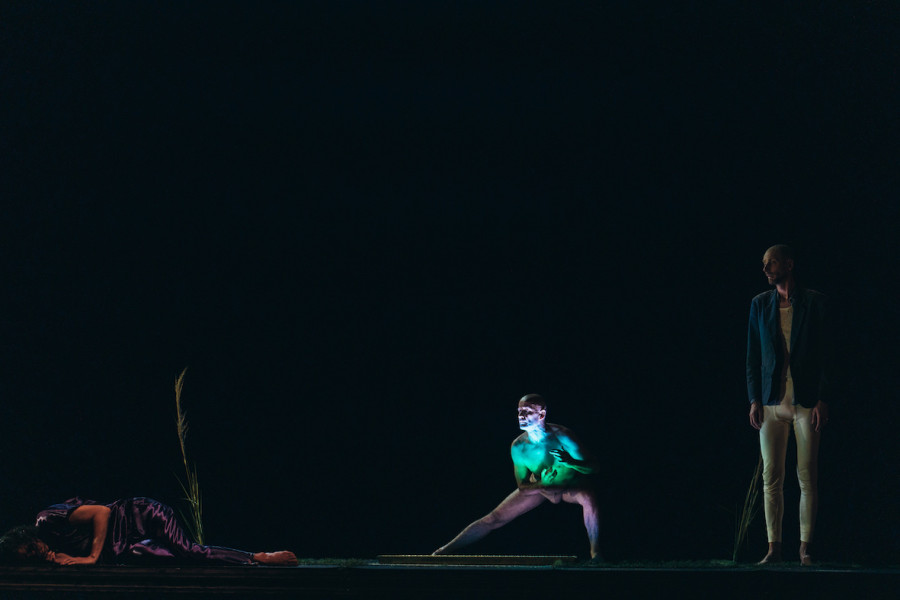 Le Bizarre, Cie Danses en l'R. Danseur: Eric Languet