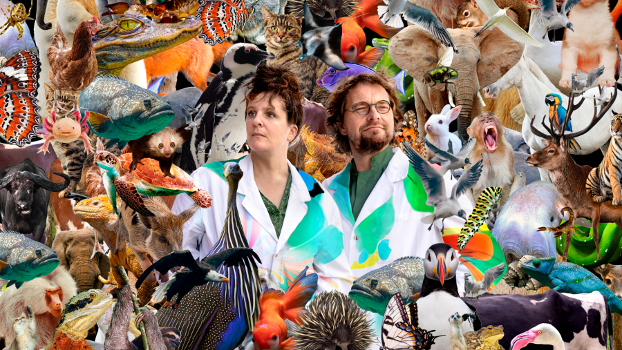 Frau Rupp und Herr Dröse in der Mitte einer Collage  von Tieren