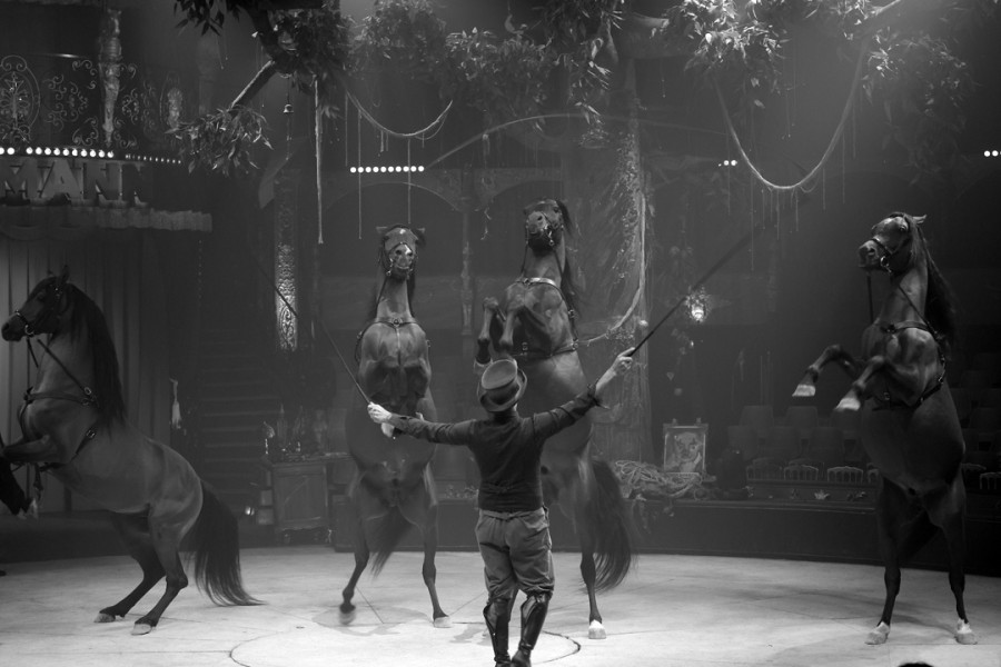 Eric Bormann, Cirque-Théâtre Bormann,  Mars 2026,