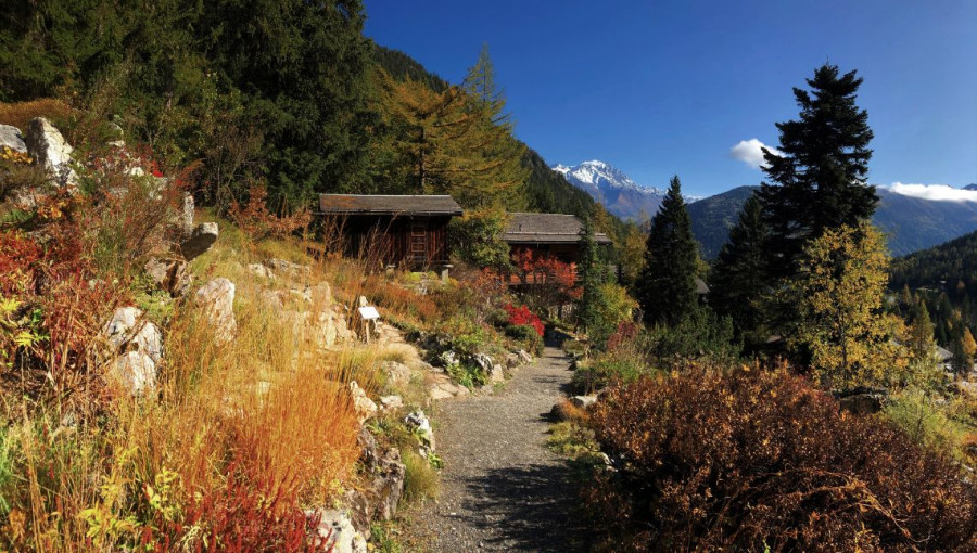 Le Jardin Flore-Alpe en automne