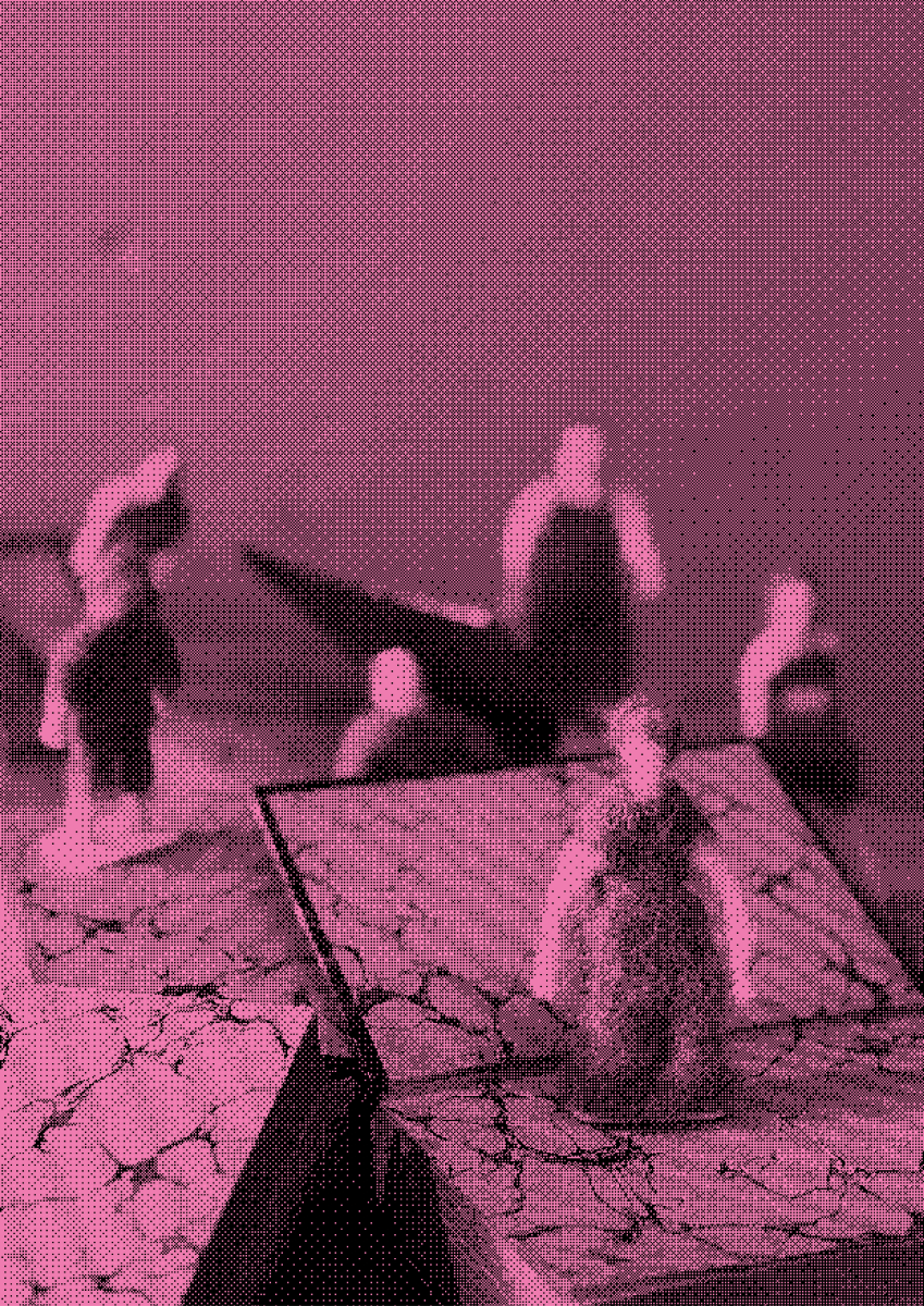 Cygnes noirs | avec les Niaiseuses