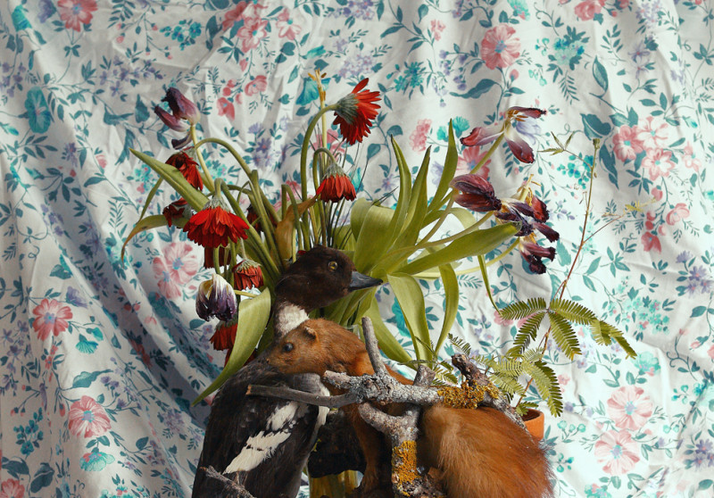 Andrea Ebener