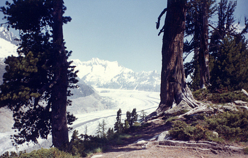 Maurice Courvoisier, Médiathèque Valais - Martigny