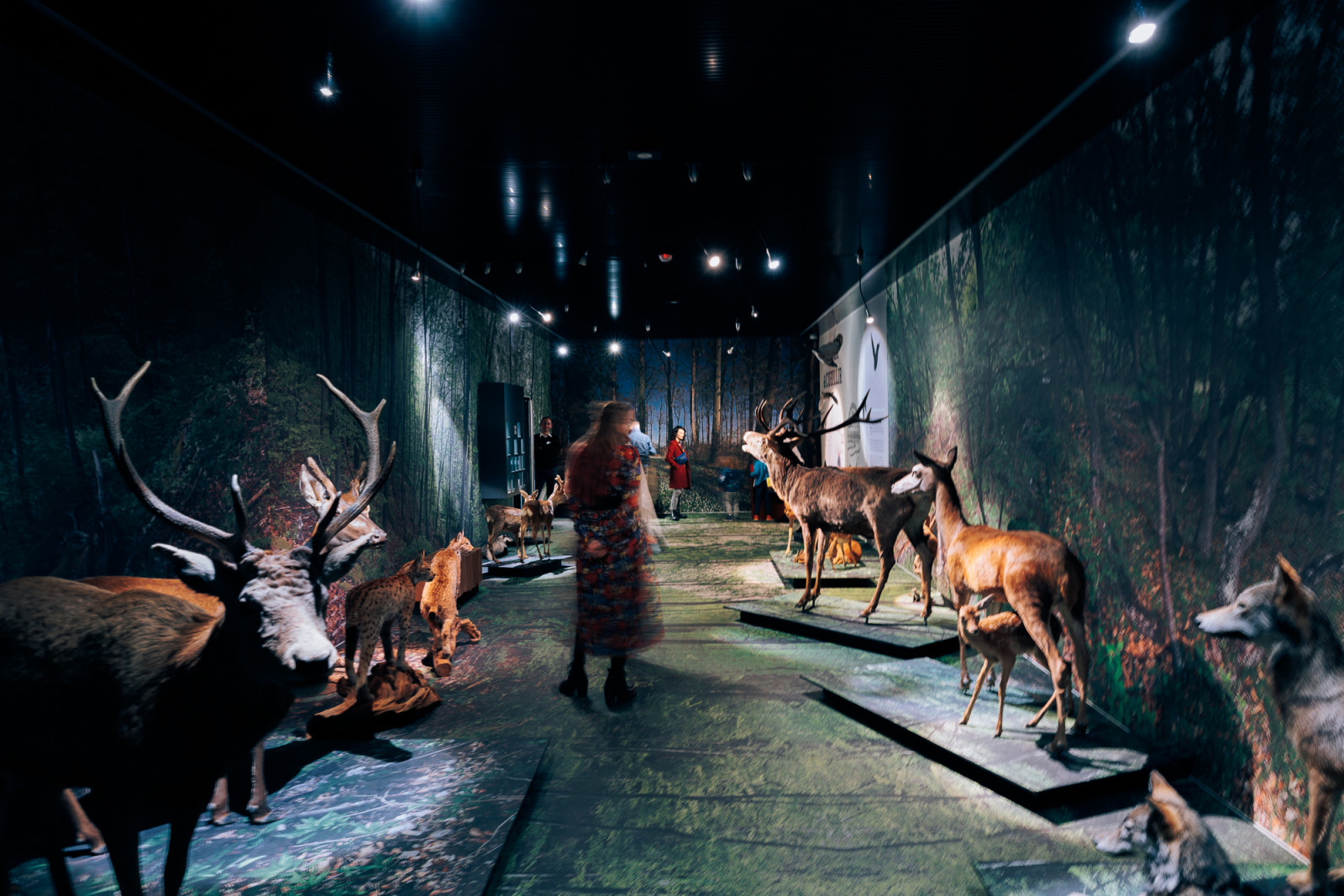 Musées cantonaux du Valais, Sion.  Photo Pierre Daendliker